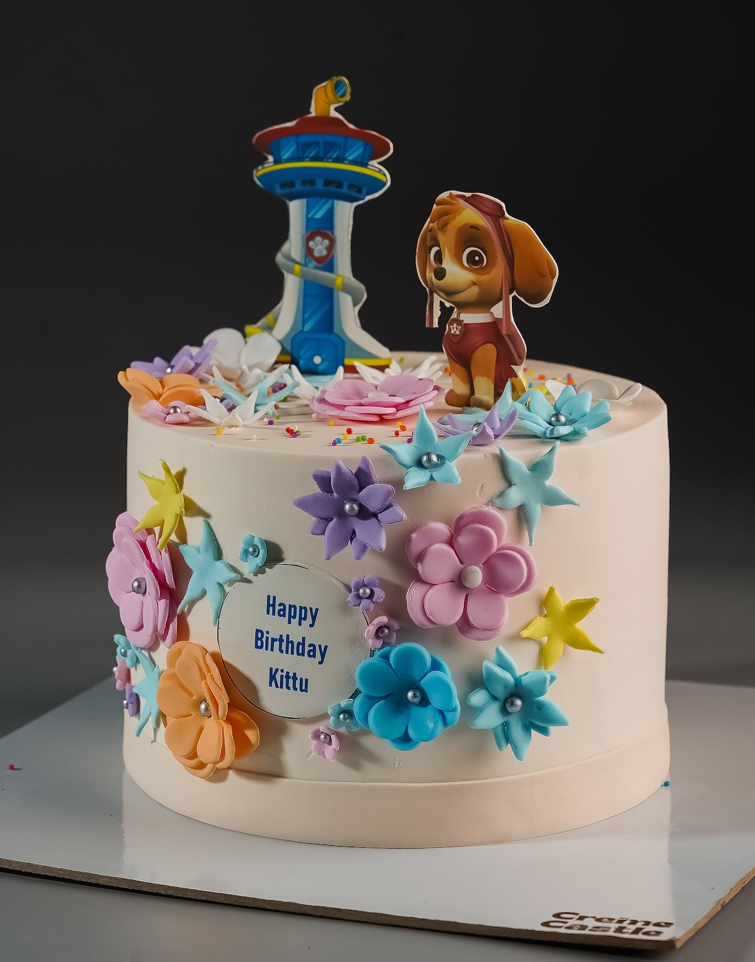 Paw Patrol Doggy Cake