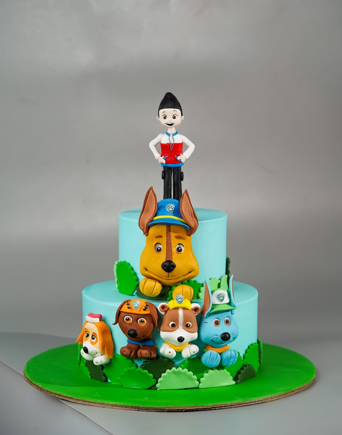 Paw patrol two tier cake