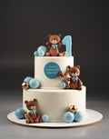 Teddy and Balls Birthday Cake for Son