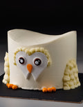 Owl Theme Cake