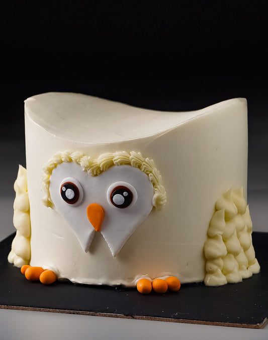 Owl Theme Cake