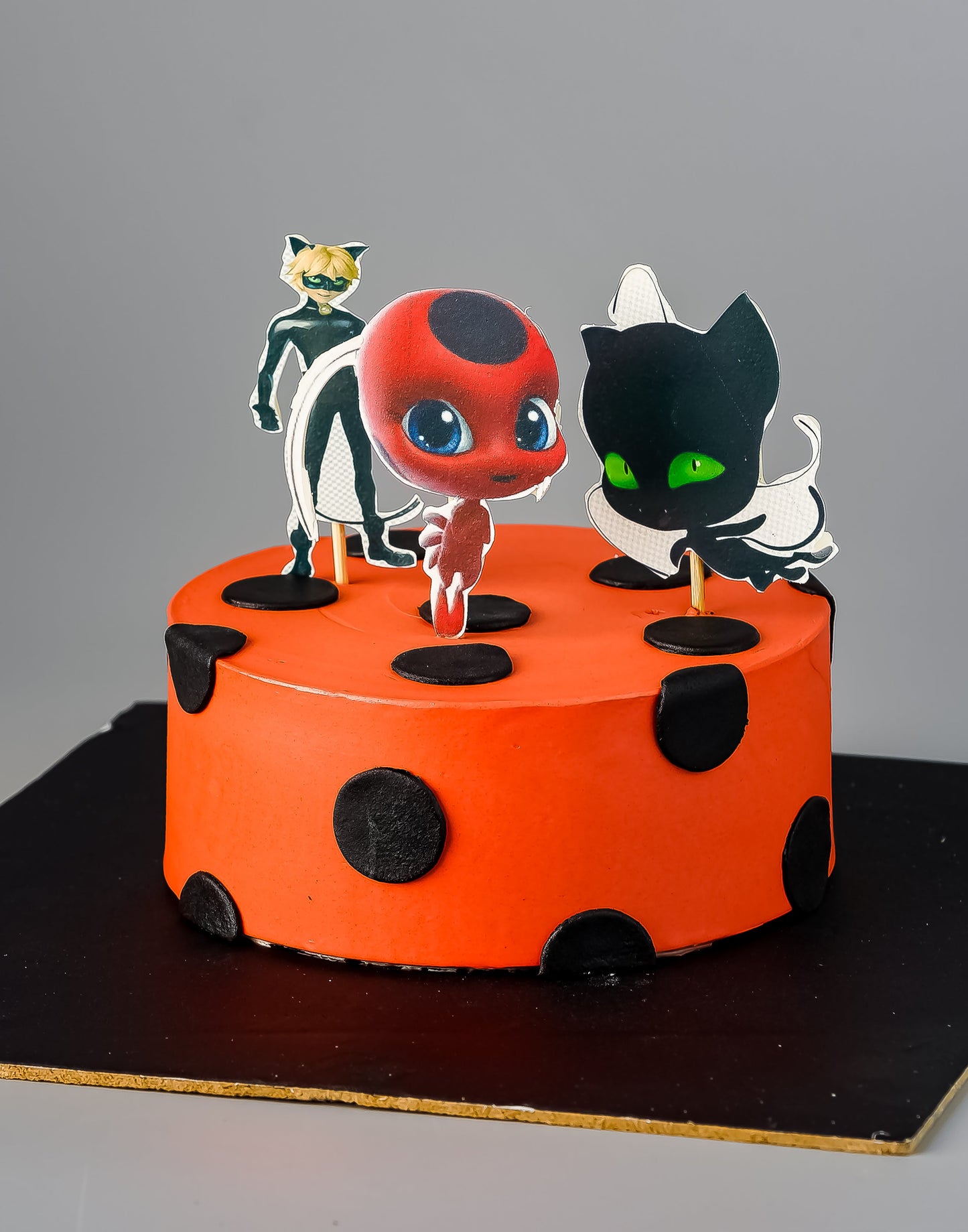 Ladybug Cartoon Birthday Cake