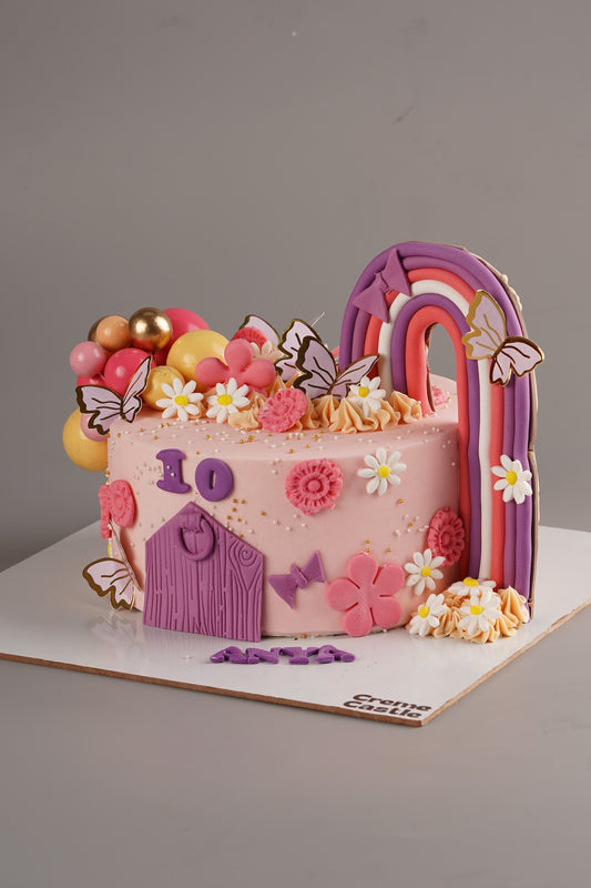 Pink Rainbow Butterfly Cake