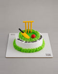 Cricket Fan Birthday Cake