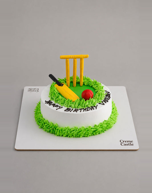 Cricket Fan Birthday Cake