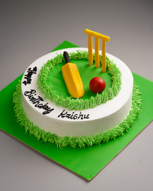 Cricket Fan Birthday Cake