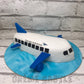 Aeroplane Shape Cake Creme Castle