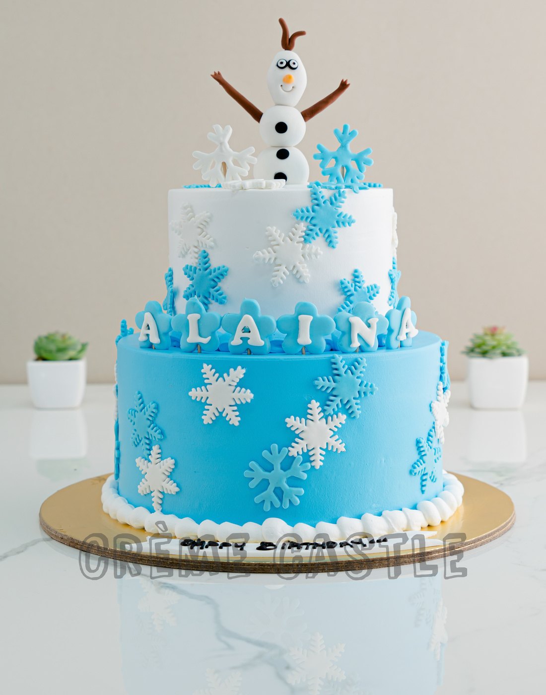 Snowy Frozen Cake | Cake for Kids | Creme Castle