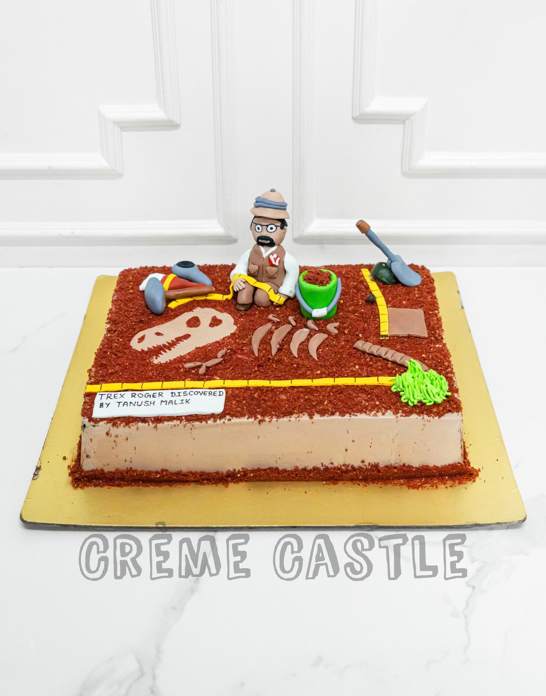 Palaeontologist Theme Cake