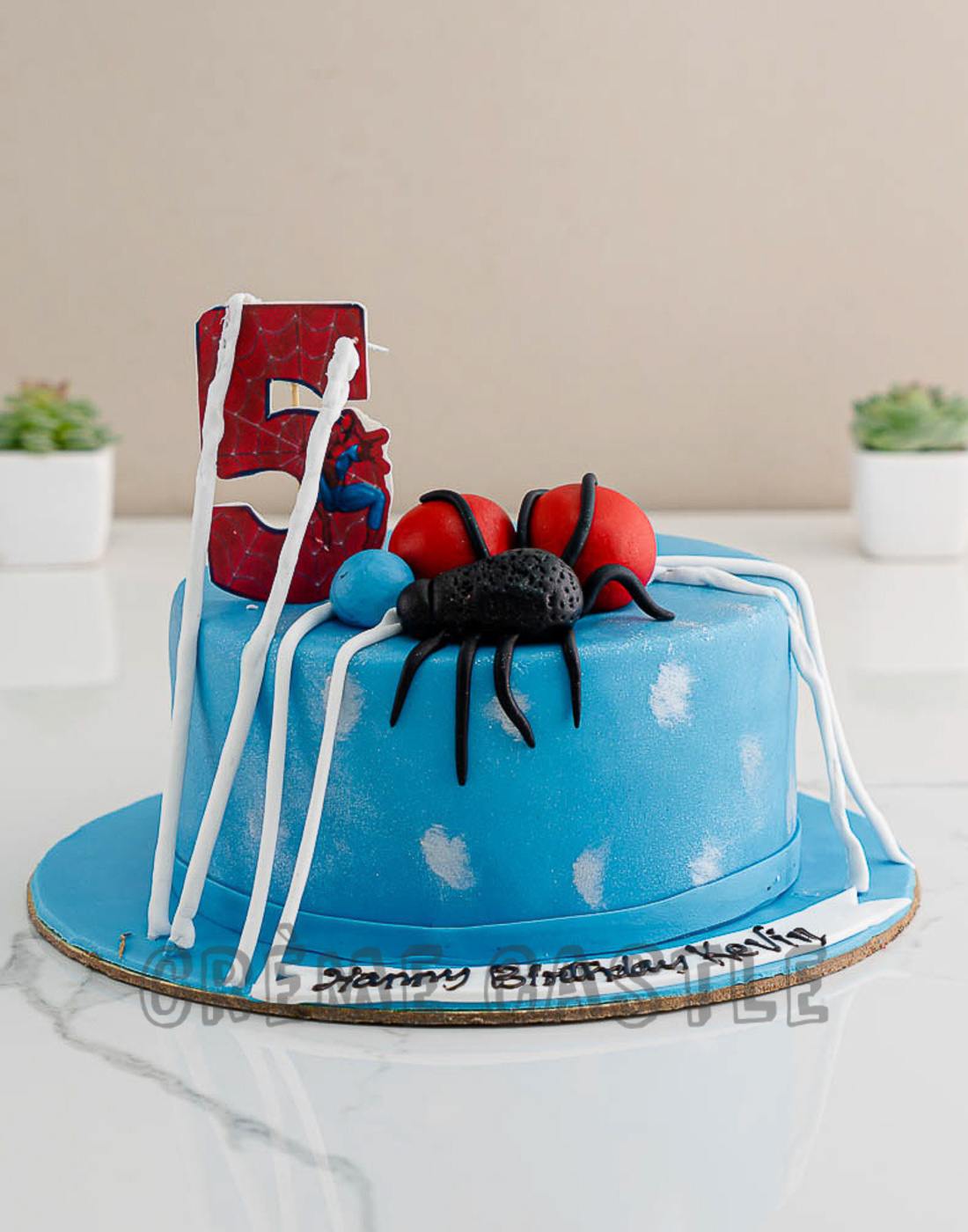 Spiderman Hand painted Cake