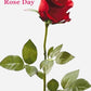 Valentine Week Package - Creme Castle